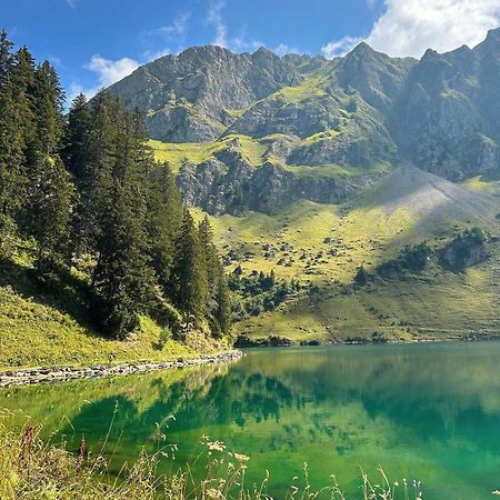 Alpine Dream Chalet With Spa Close To Lake Geneva Les Mosses Ngoại thất bức ảnh