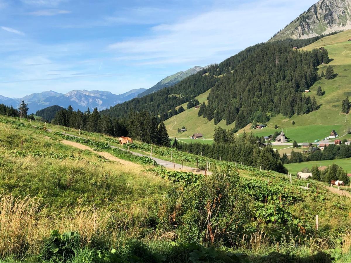 Alpine Dream Chalet With Spa Close To Lake Geneva Les Mosses Ngoại thất bức ảnh