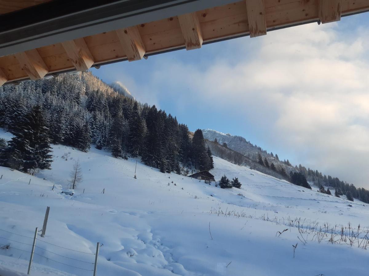 Alpine Dream Chalet With Spa Close To Lake Geneva Les Mosses Ngoại thất bức ảnh
