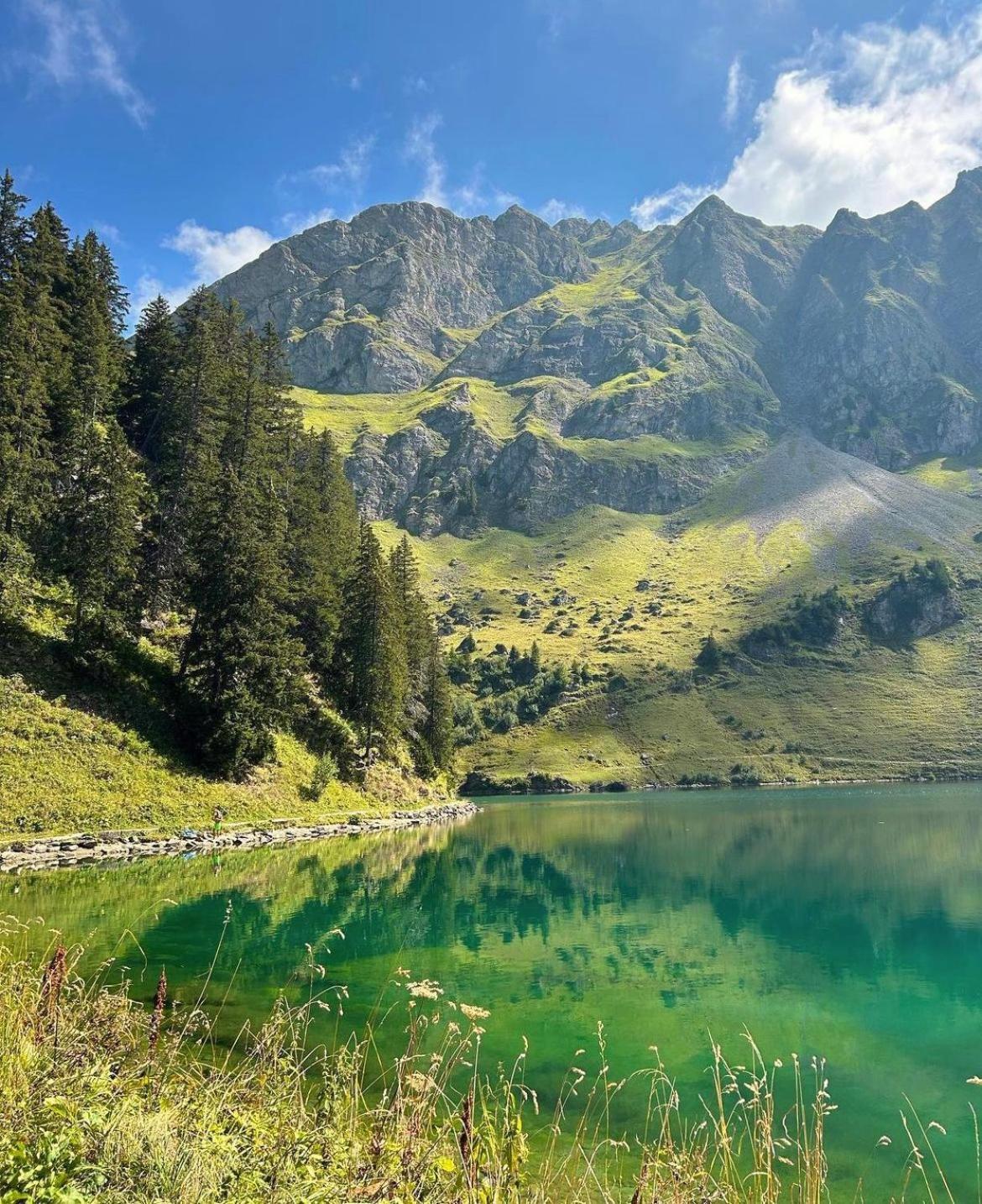 Alpine Dream Chalet With Spa Close To Lake Geneva Les Mosses Ngoại thất bức ảnh